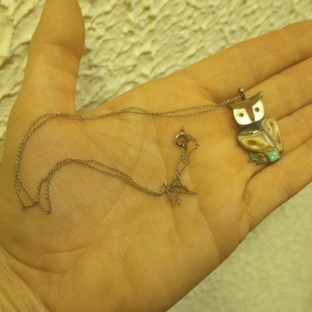 Silver Tone Owl Pendant Necklace, 20" Necklace
